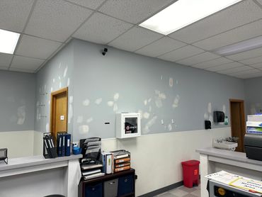 Office corner with patched walls, binders, and a red biohazard bin.