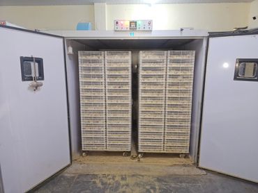 Large incubator with multiple trays for hatching eggs inside a controlled environment.