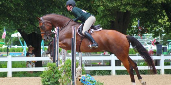 Equestrian jumper clearing a fence during competition.