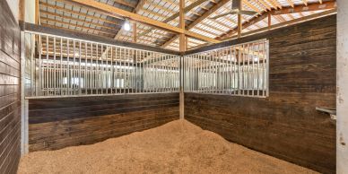 Spacious, clean horse stable with wood walls and bedding.
