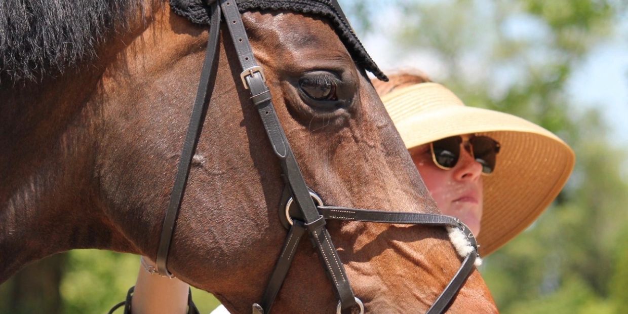Close-up of a horse with a bridle and a person wearing a sunhat and sunglasses in the background.