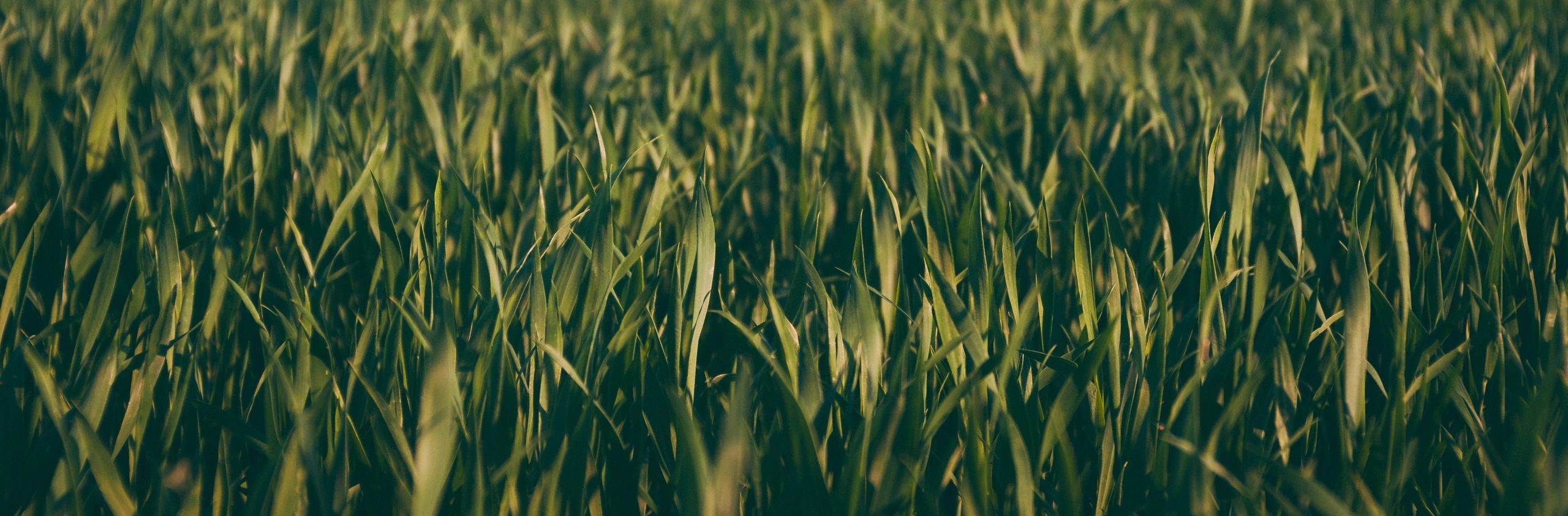 image77