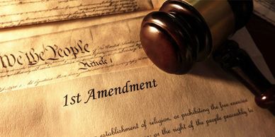 Constitution in the Citizens Rule Book