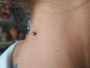 surface piercing prices