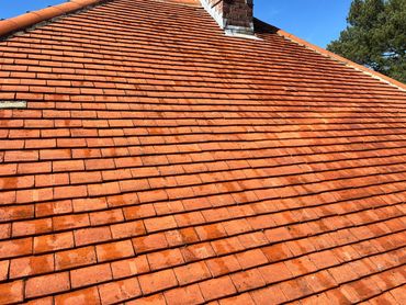 Clean roof, after soft wash