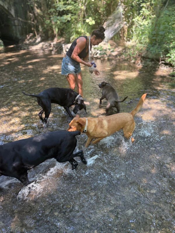 Balls, biscuits, and boundless joy — dog and lady in their element.