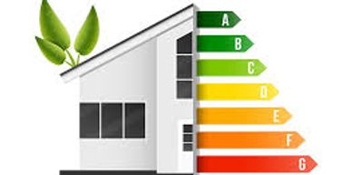 Home energy graph with green shoots growing from roof