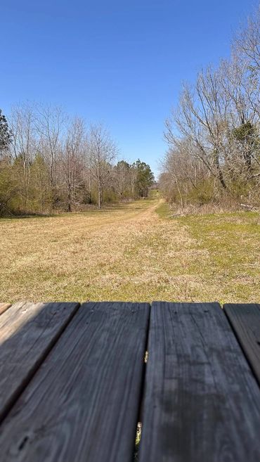 Empty shooting lane at the range