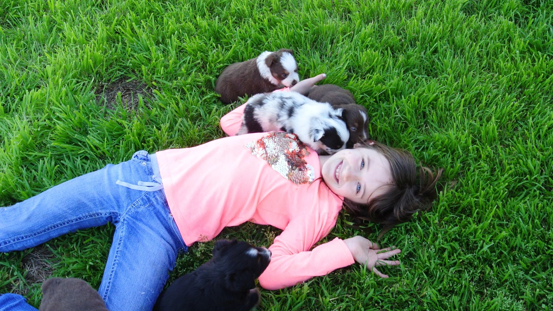 Contact Shooting Stars Ranch