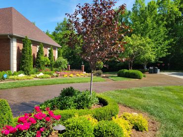 Pure Pressure Power Washing