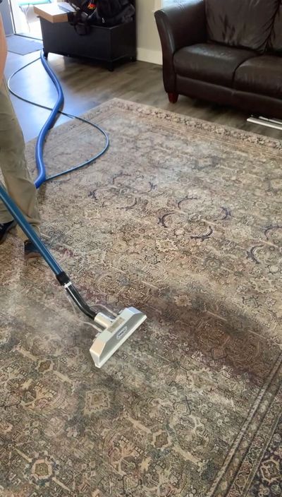 Professional carpet cleaner making a clean pass over a rug with steam wand. Stain is d. 