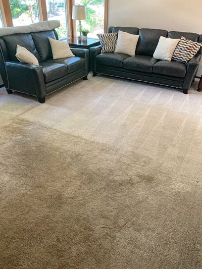 Perfectly cleaned before and after of white carpet in a living room.