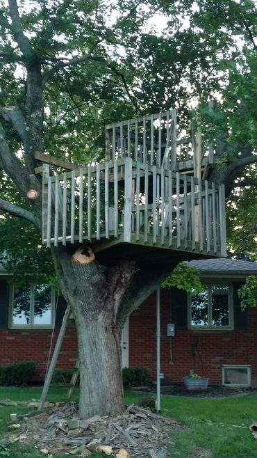 Custom treehouse