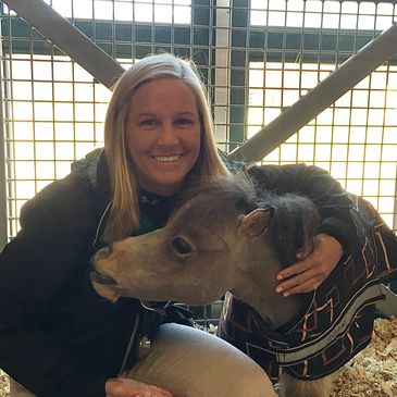 Vet kneeling beside miniature horse