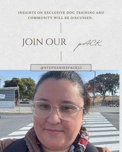 Pack Invite for all dogs and humans.