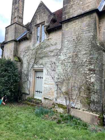 Rose training, rose pruning