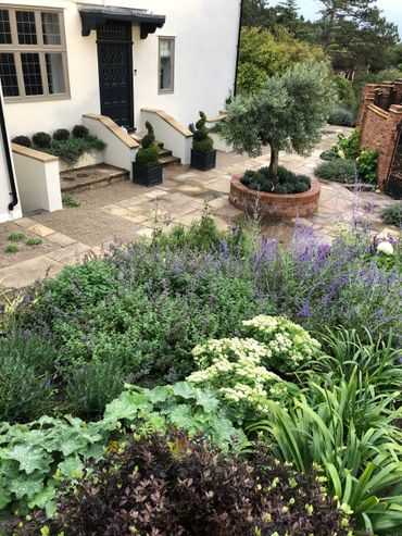 Garden designed by Jo