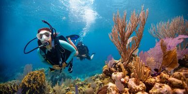 Two people scuba diving near coral reef