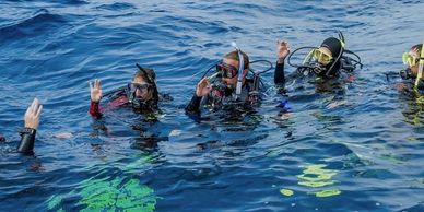 Five scuba divers on surface in open water