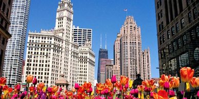 Chicago Private Tours - Wrigley Building