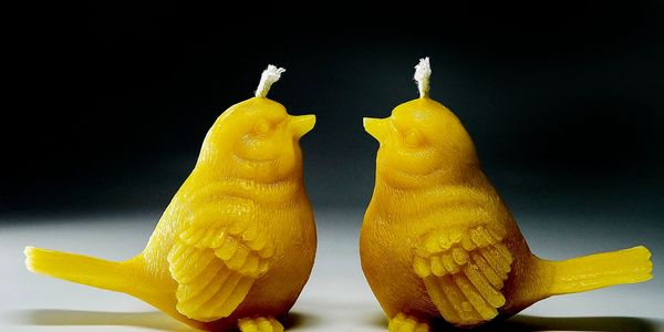 Sparrow beeswax candles