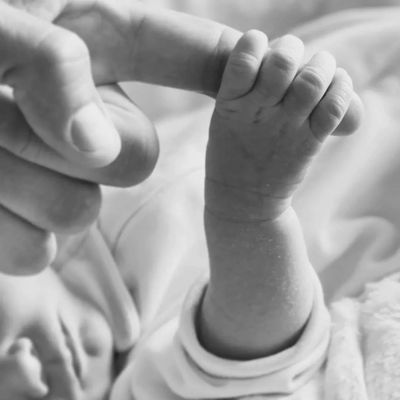 Parent , Infant , Mothers , Baby , Babies , Carers Parent-Infant