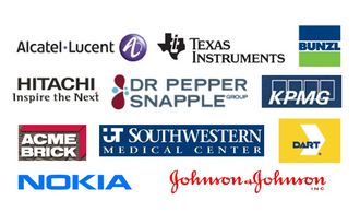 Global clients attest to our value by renewing long term consulting contracts and issuing us contractor badges