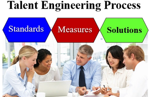 Talent Engineering Technology is a process of using Standards-Measures-Solutions to enable success