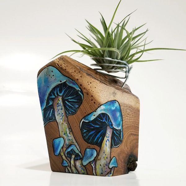 Beautiful hand painted art for sale by guest artist Havery Shultz