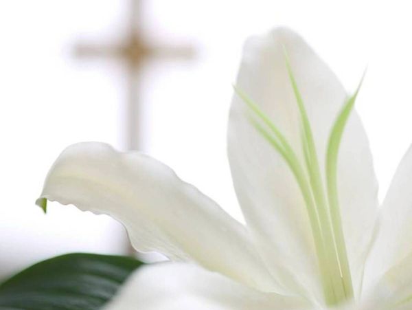 Close-up of a white lily with a blurred cross in the background.