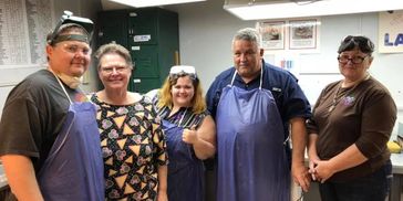 Annual Gemstone and Mineral Show in Tampa Bay showcasing a variety of gems, minerals, fossils, jewelry, and beads