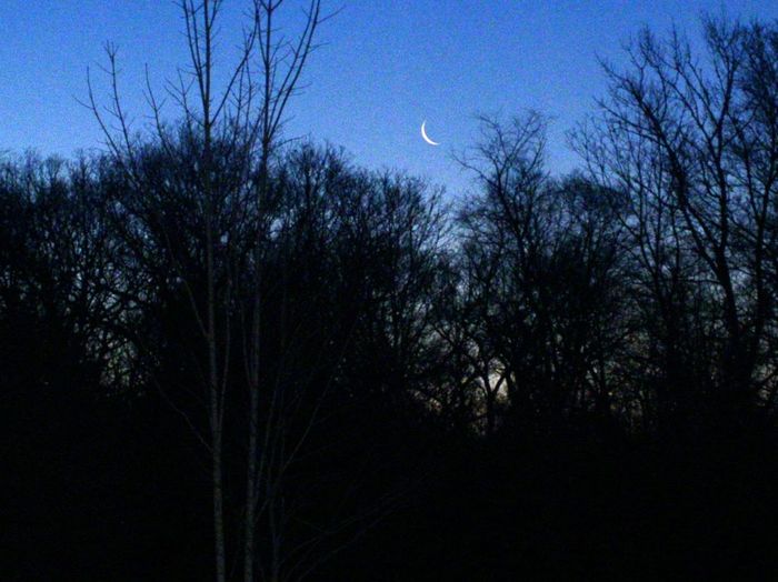 Moon in Rehoboth, Star of Bethlehem