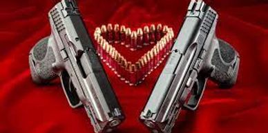 Private Couples - Michigan Concealed Carry / CPL Classes near Rochester Hills