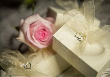 Delicate pink rose with elegant gift boxes tied with sheer ribbons.