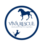 VIVA Rescue
