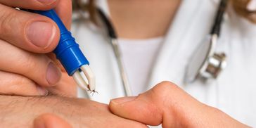 lyme disease treatment; bartonella, anaplasma, vector borne diseases