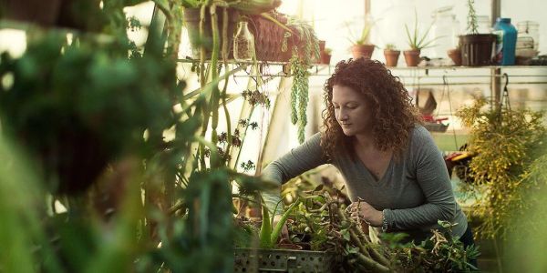 Woman tending to plants in a greenhouse.
