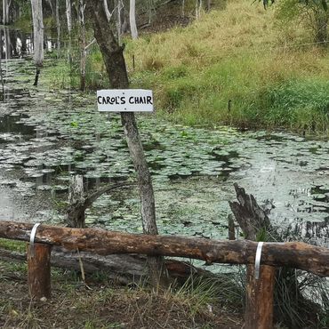 carols chair at Mariefields