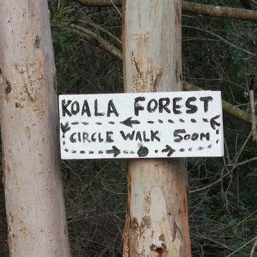 koala walk at Mariefields