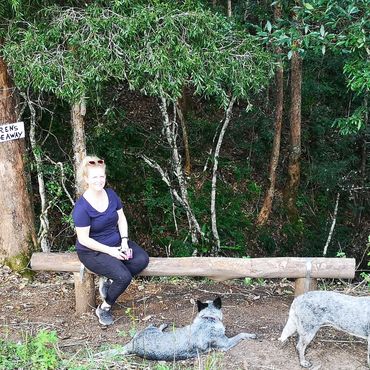 Karen's chair at Mariefields