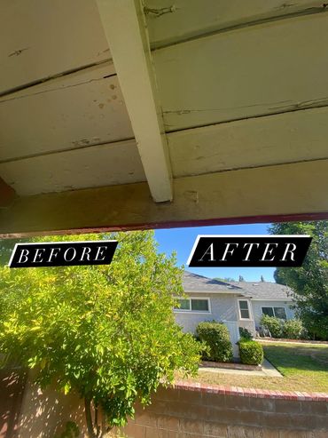 Before and after view of a backyard tree trimmed neatly.