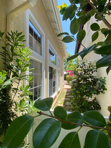 Narrow garden path between two houses with lush green plants.