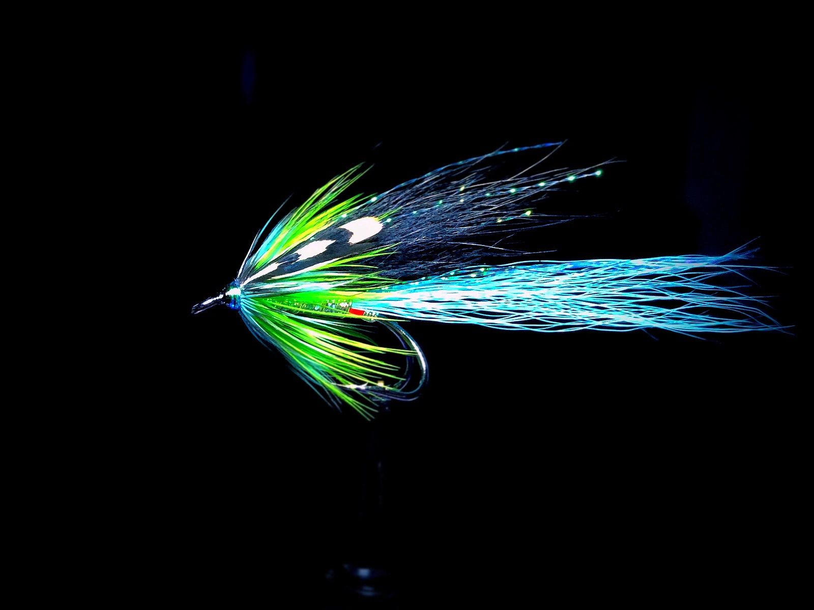 CFS Salmon Flies Salmon Flies, Fishing, Fly Tying Scotland