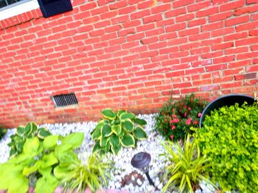 A garden bed with green plants and white stones against a red brick wall.