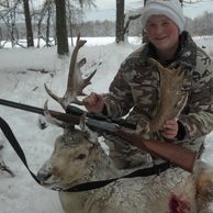 fallow deer hunt in western New York