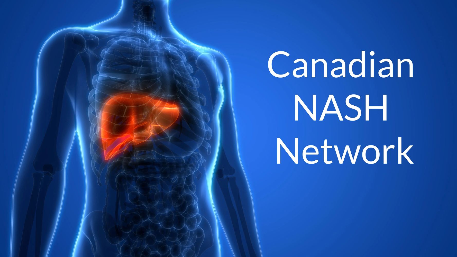 Canadian NASH Network