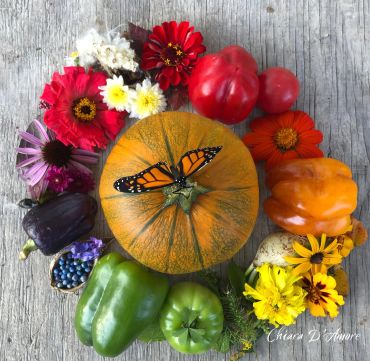 Hopeful Harvest