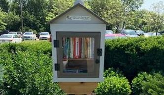 Little Free Library box full of books at the edge of the Morning Star parking lot.