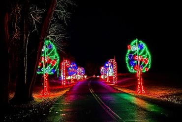 Purcell's Lights from the Heart