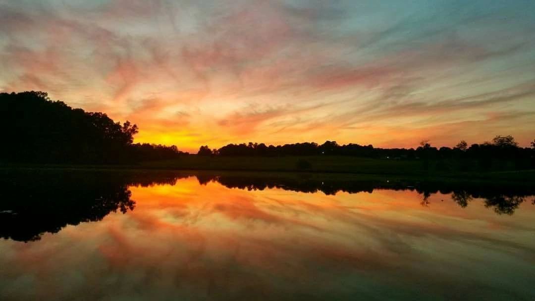 Pumpkin Patch Johnny Wilson Farm